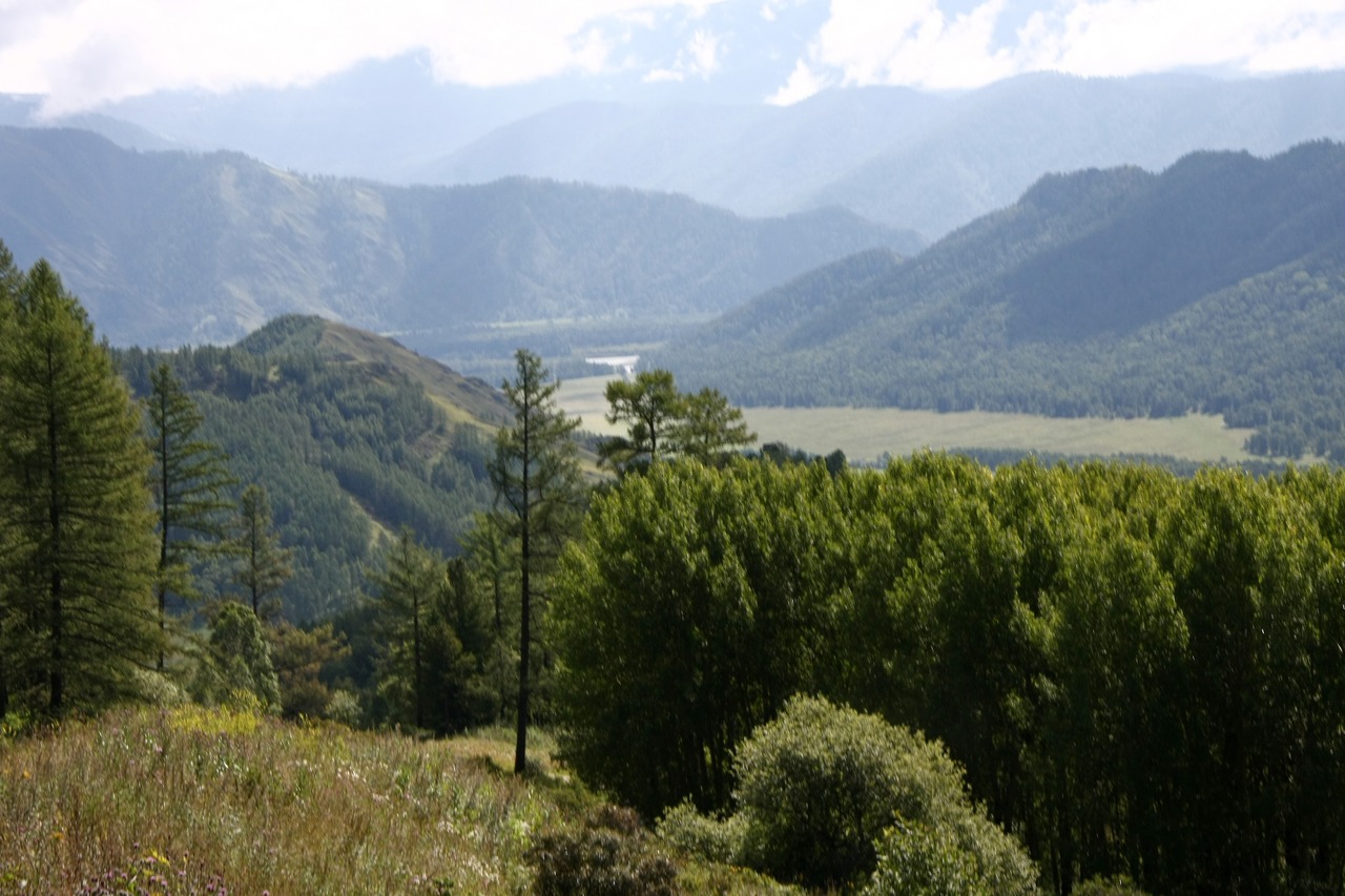 Горный пейзаж с лесом и озером на фоне гор