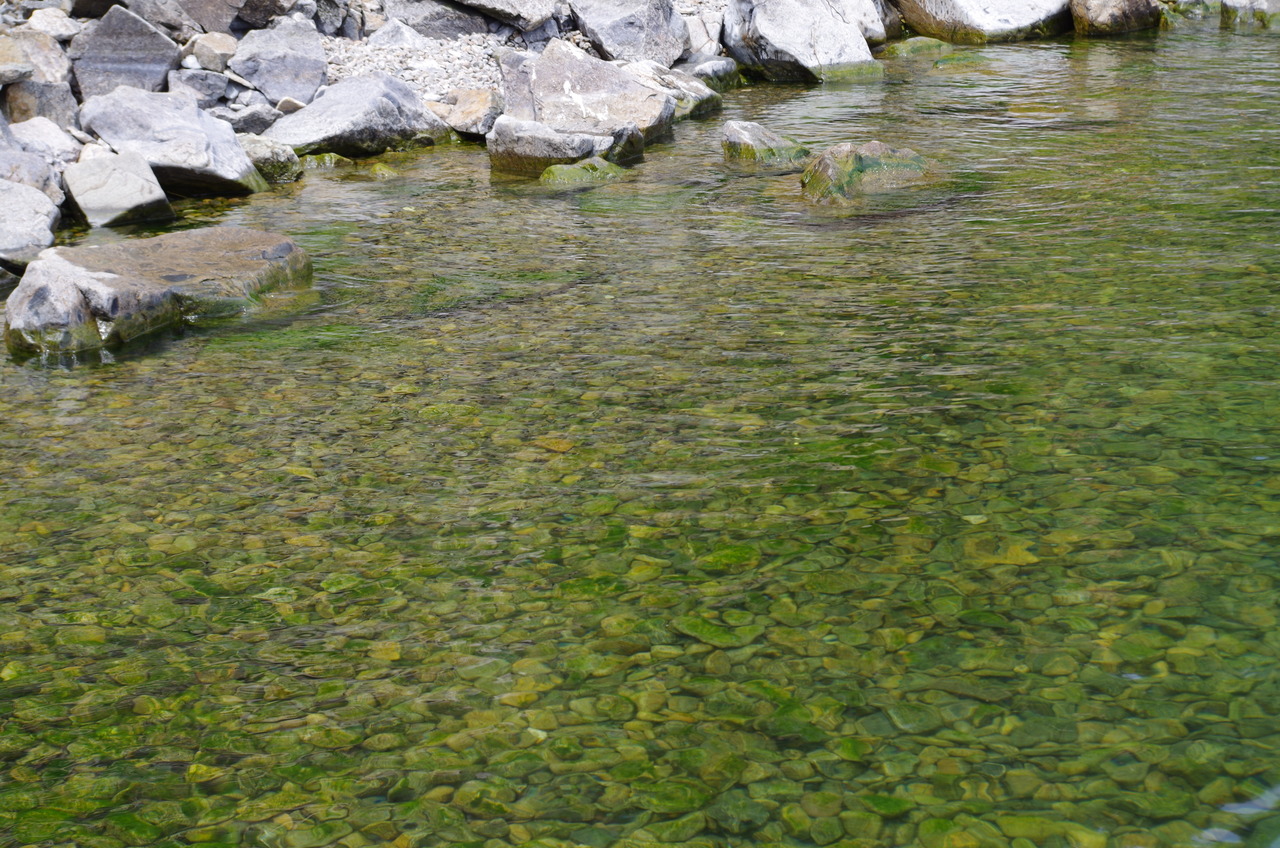 Прозрачная вода Байкала с зелеными водорослями и камнями на дне