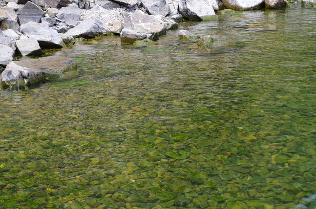 Прозрачная вода Байкала с зелеными водорослями и камнями на дне