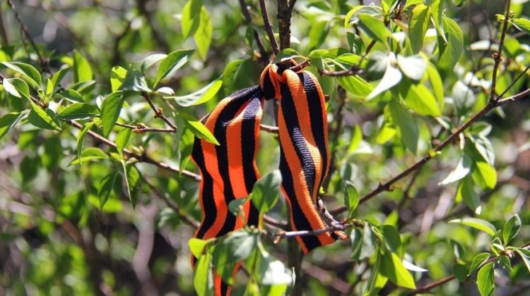 Сады памяти будут цвести по всему миру