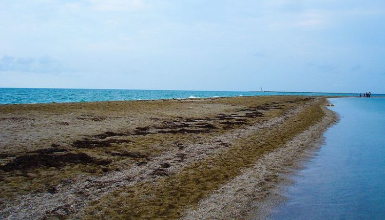 Бакальская коса и запрет добычи песка