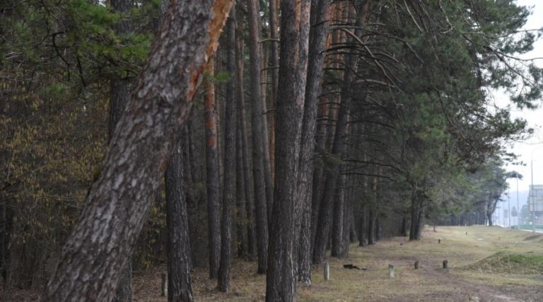 Застроят ли памятник природы федерального значения?