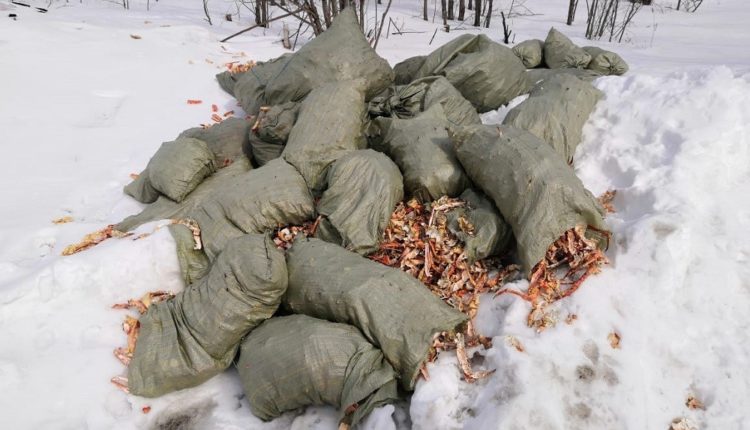 Мешки с остатками крабов
