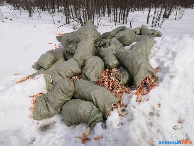 Из туристической тропы на Сахалине сделали свалку