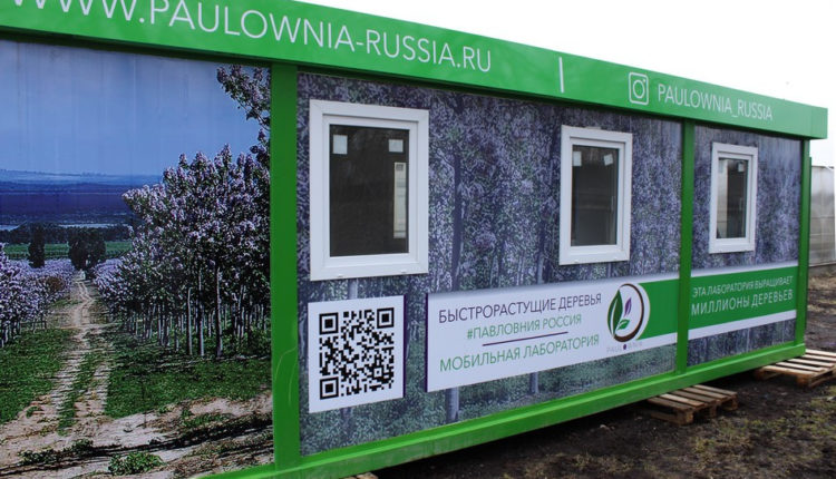 Мобильная лаборатория для выращивания саженцов павлония
