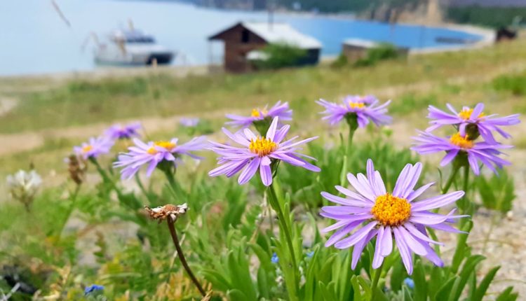 о.Байкал / Фото - Роман Незовибатько