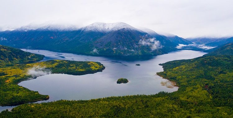 Участки в заповеднике незаконно сдали в аренду