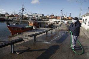 В Аргентине улицы захватили морские львы