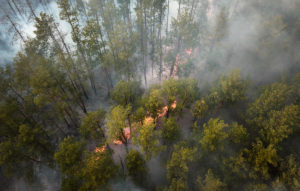 Пожар в зоне отчуждения Чернобыля помог потушить дождь (3)