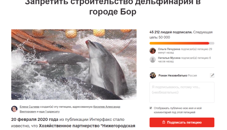 45 000 человек подписались против океанариума в городе Бор