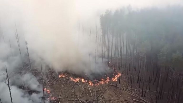 За поджег травы в зоне отчуждения – уголовное наказание
