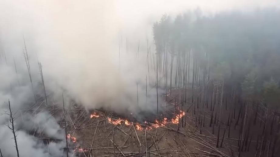 Поджег травы в зоне отчуждения привел к большому пожару в трех лесничествах