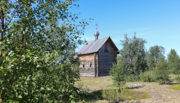 Изучат насекомых в музее-заповеднике