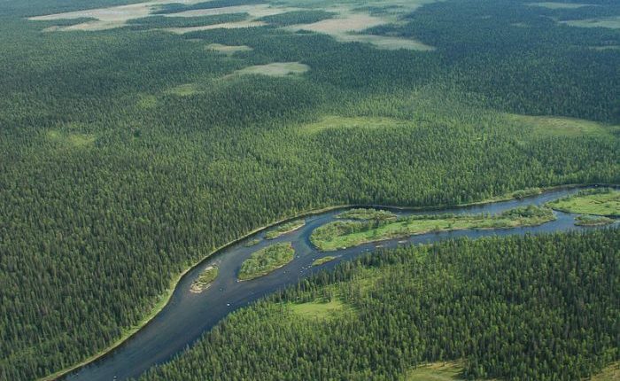 Ненецкий заповедник