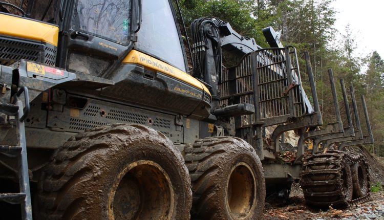 Новая рабочая группа для борьбы с незаконным оборотом древесины