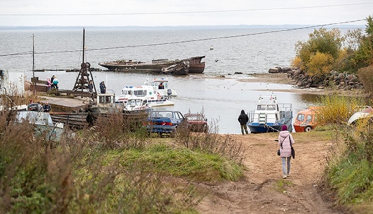 Браконьеры поневоле
