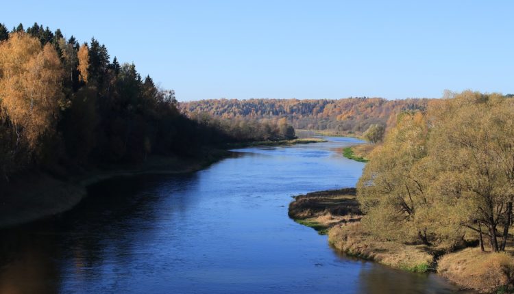 В подмосковных заказниках проведут рейды