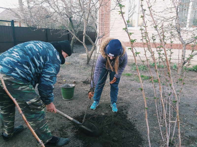 Воронежцы высадят деревья онлайн