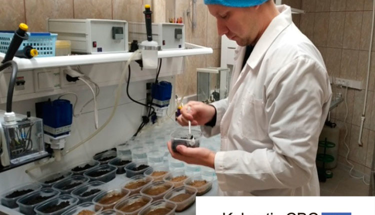 Местные микроорганизмы помогут очистить берега от нефти