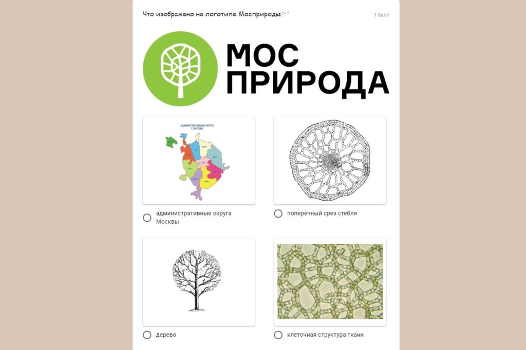 Мосприрода предлагает пройти экотесты