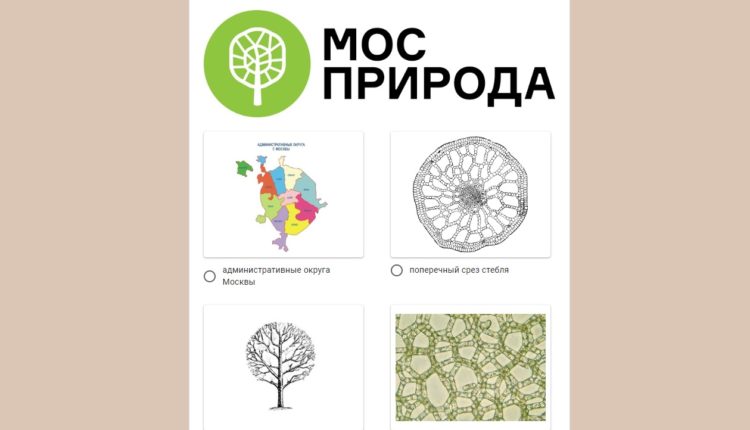 Мосприрода предлагает пройти экотесты