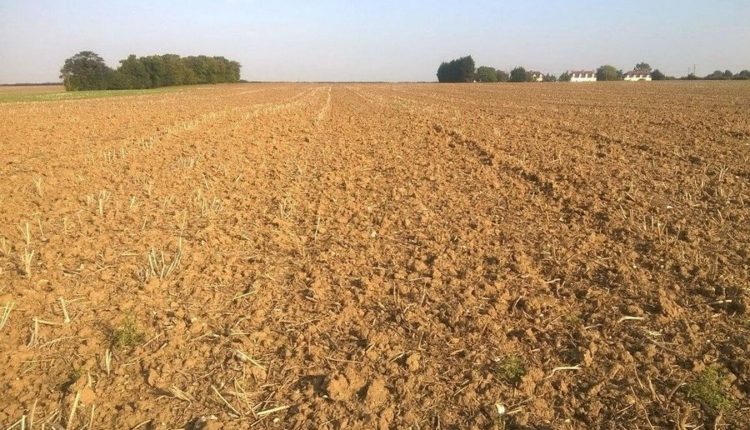 На 100 млн рублей штрафа наработали две тюменские компании