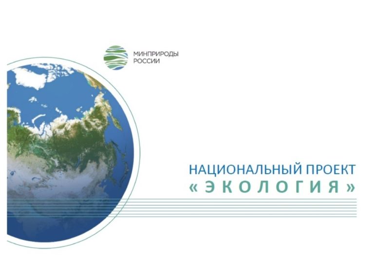 Бизнес не выполняет обязательства по нацпроекту «Экология»