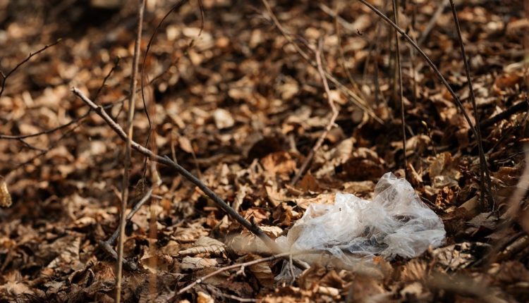 Пластик будут растворять ферментом из гнилых листьев