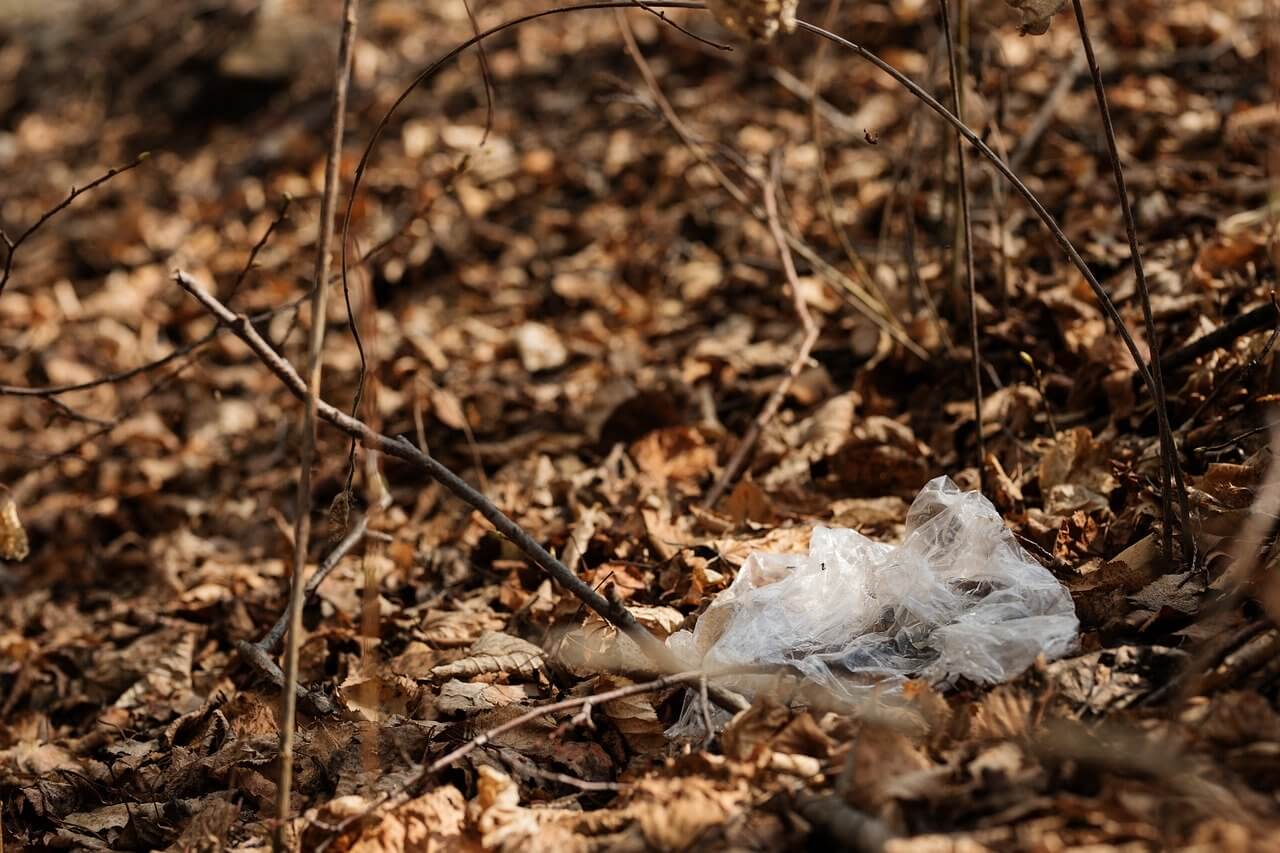 Пластик будут растворять ферментом из гнилых листьев