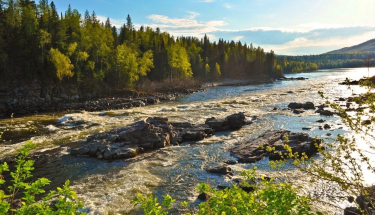 РГО проводит конкурс среди арендаторов дальневосточного гектара