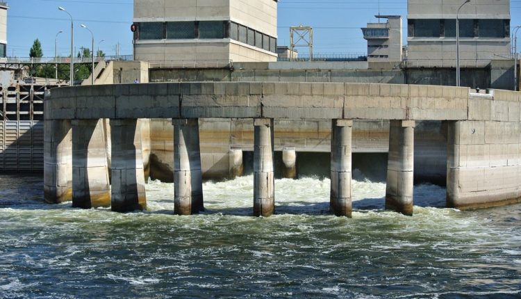 Сброс воды на Волге может сократить популяцию рыб