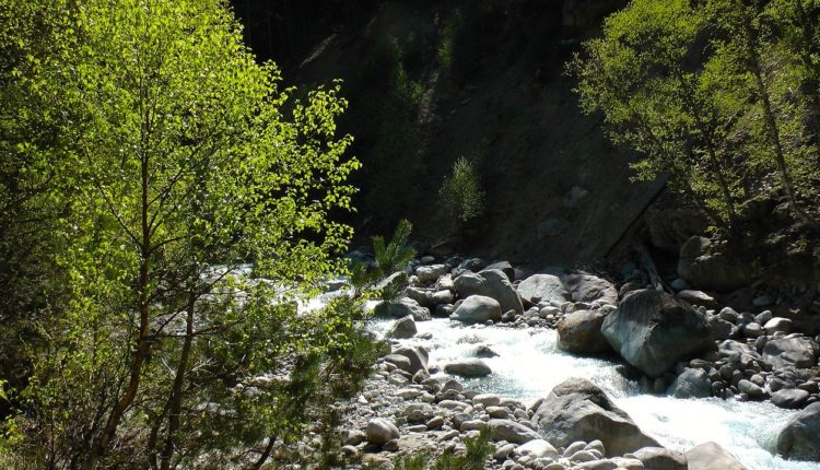 Северокавказские реки полны тяжёлых металлов