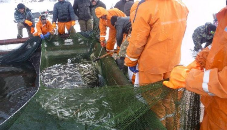 Учение всерьез взялись за Амур