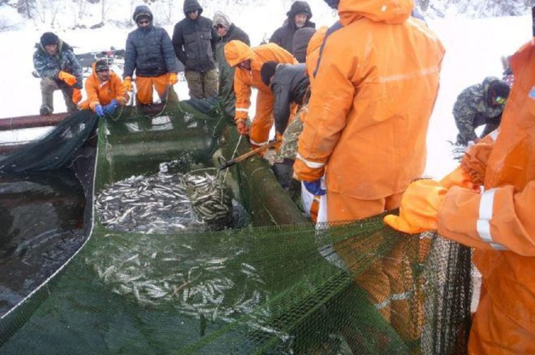 Ученые всерьез взялись за Амур