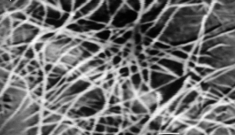 Ученые из макулатуры создали волокна целлюлозы, которые крепче стали