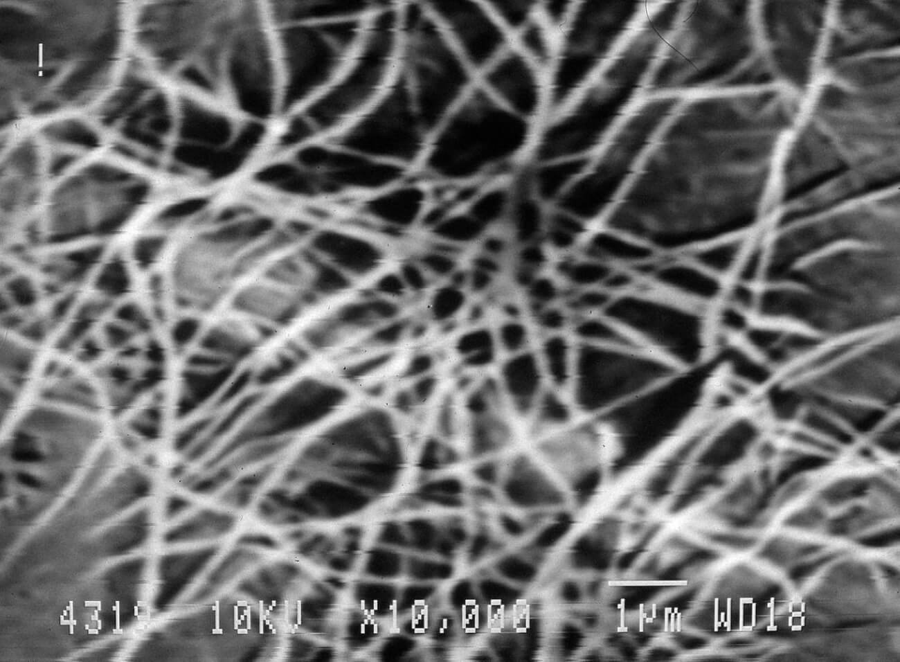Ученые из макулатуры создали волокна целлюлозы, которые крепче стали