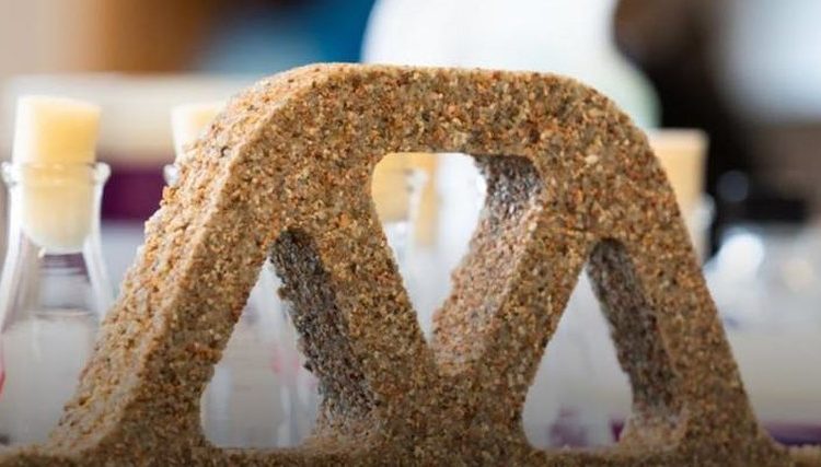 Цианобактерии создают новый строительный материал