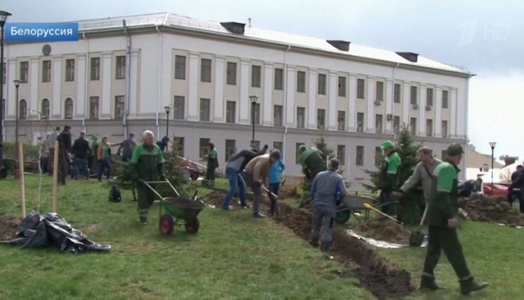 Четверть белорусов вышло на субботник
