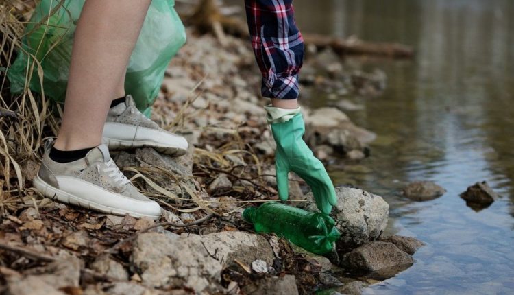 Японские исследователи зафиксировали новые угрозы экологии