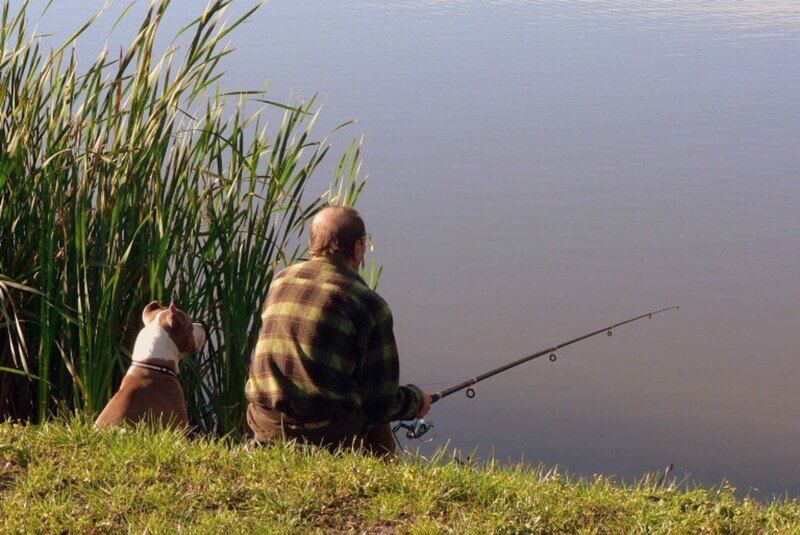 Рыболовы Татарстана предложили изменить запрет на рыбную ловлю