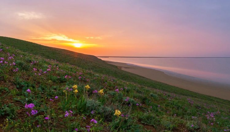 Изменение климата и опустинивание земель в Ростовской области