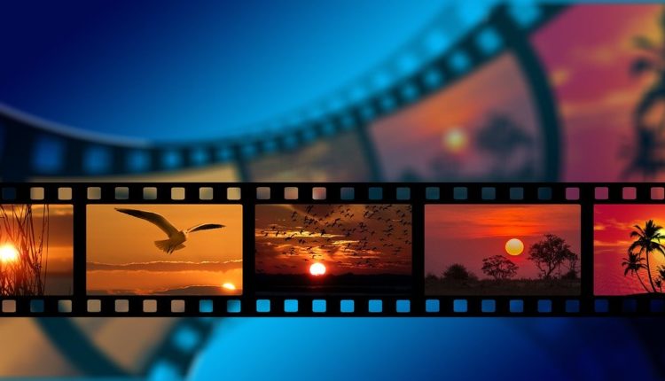 В России пройдет фестиваль зеленого документального кино