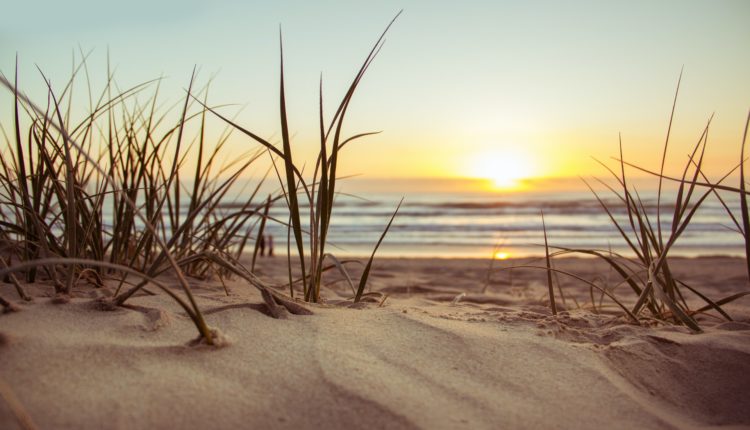 Пляж в Испании обработали хлоркой