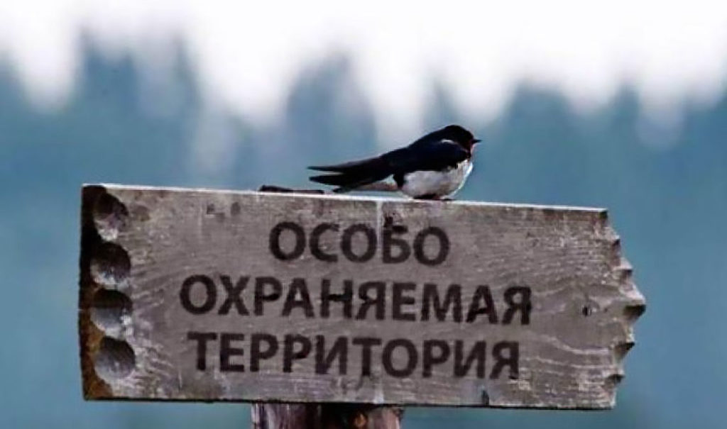 Гранты от WWF получат 13 нацпарков и заповедников