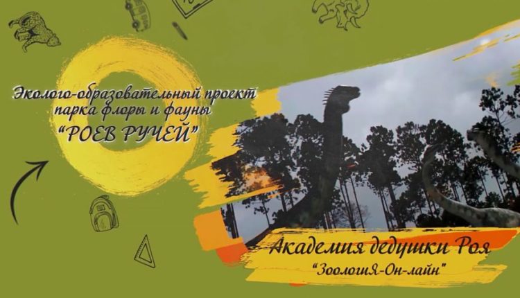 «Роев ручей» запустил просветительский проект «ЗоологиЯ-Онлайн»