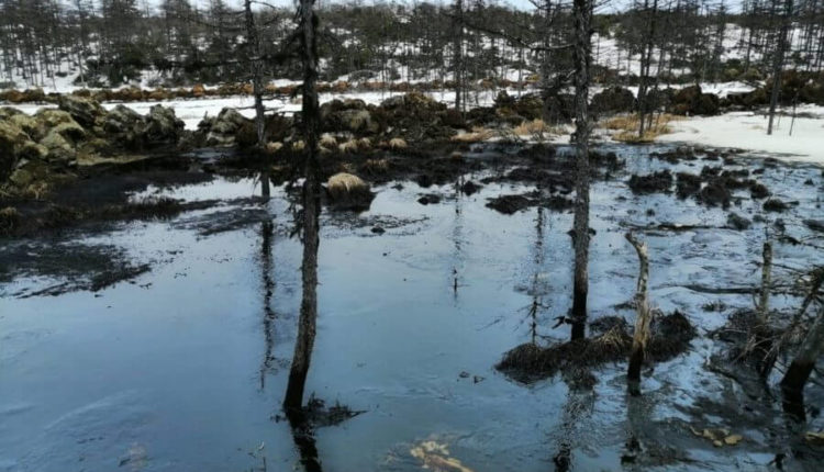 «Сахалинморнефтегаз» угрожает экологии Сахалина