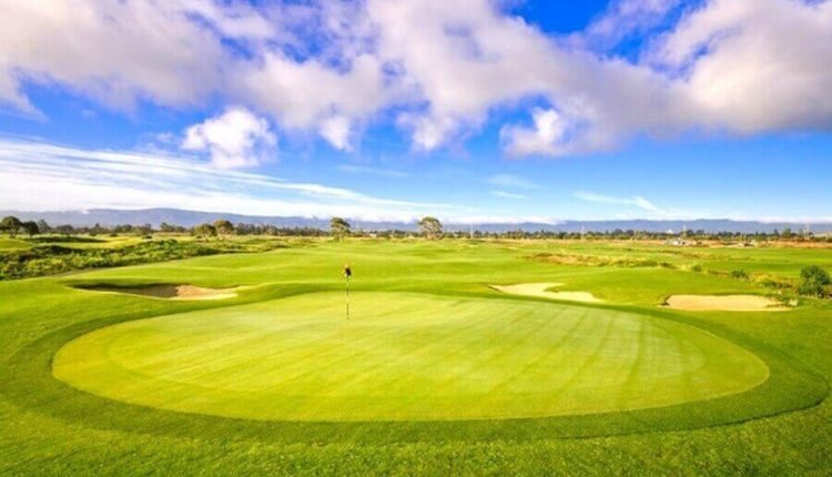 В Голландии развернута грандиозная по масштабам работа по рекультивации старых свалок.