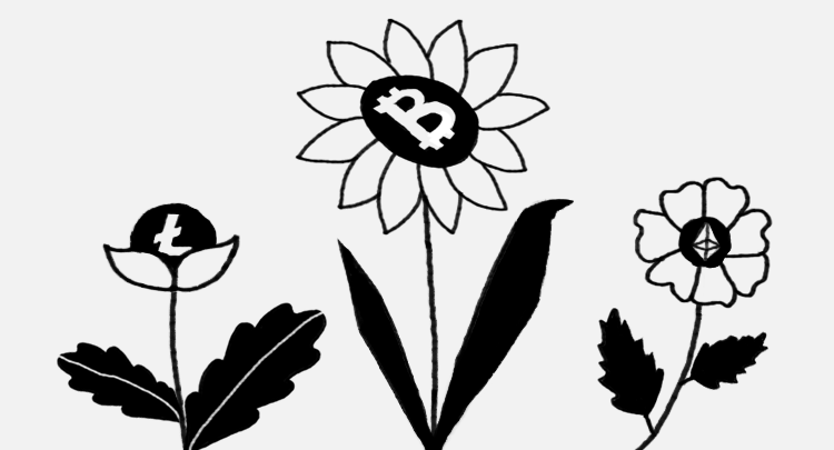 Криптовалюта и польза экологии. Как устроен «зеленый» майнинг