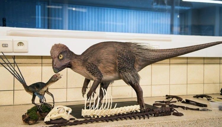 В центре "Кулинда" изучают останки забайкальского динозавра