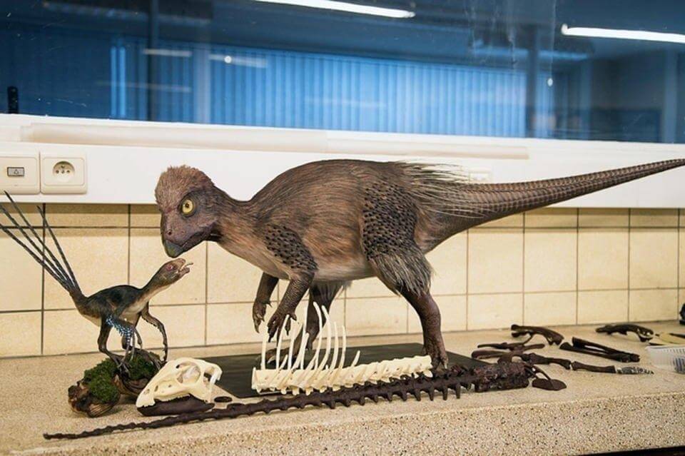 В центре "Кулинда" изучают останки забайкальского динозавра